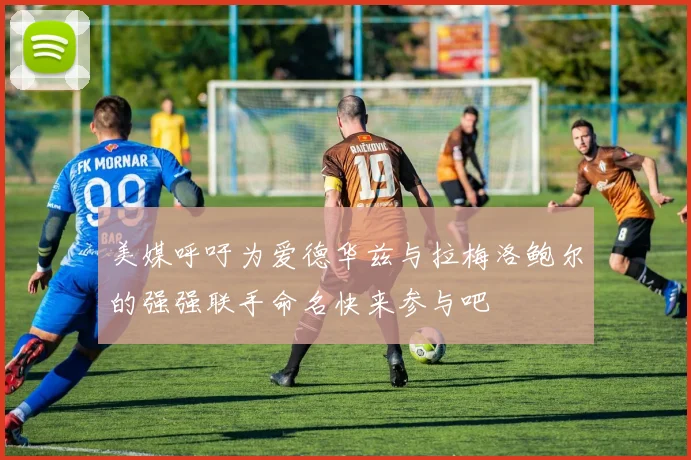 美媒呼吁为爱德华兹与拉梅洛鲍尔的强强联手命名快来参与吧
