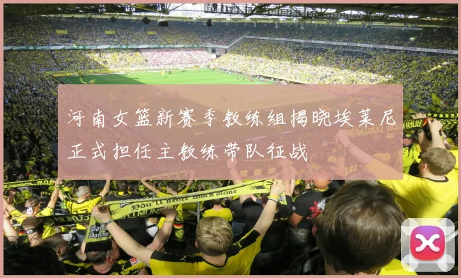 河南女篮新赛季教练组揭晓埃莱尼正式担任主教练带队征战